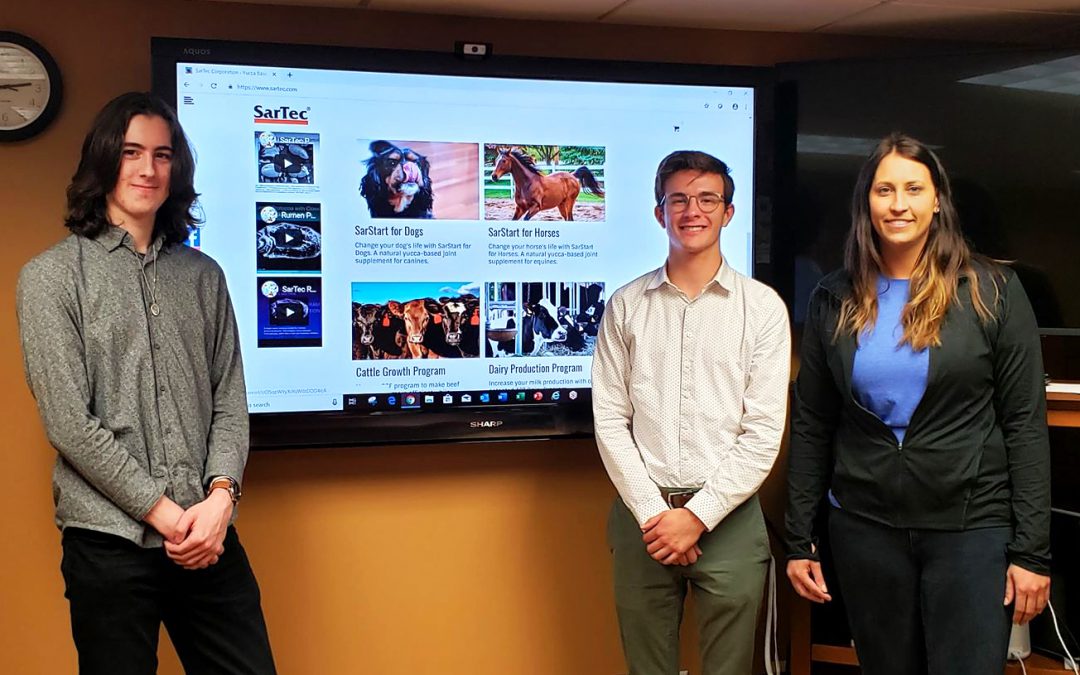 SciTech, SciTechsperience, paid internship, internship, STEM, STEM internship, Minnesota, SarTec, web development