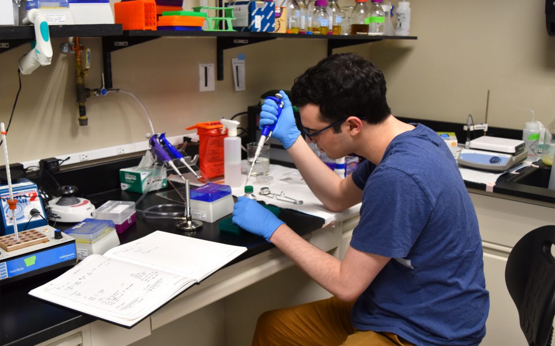 SciTech, SciTechsperience, STEM, STEM internship, paid internship, Minnesota, Sasya LLC, Sasya