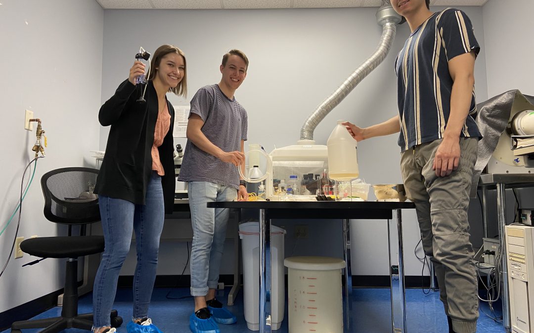 Internship Spotlight: InSitu Technologies Inc.