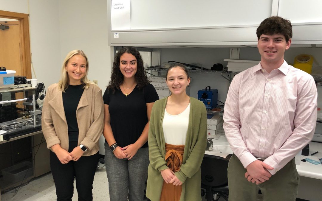 STEM, STEM internship, paid internship, Minnesota, MN, medical devices, med tech