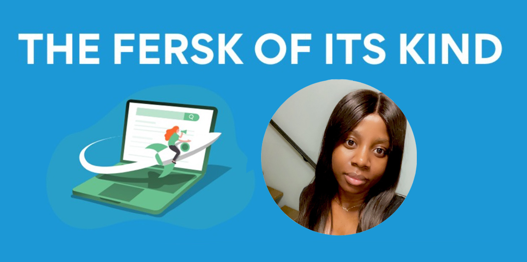 STEM, STEM internship, Minnesota, Paid internship, MN, startup, travel platform, web development, coding, cyber security, internship, intern