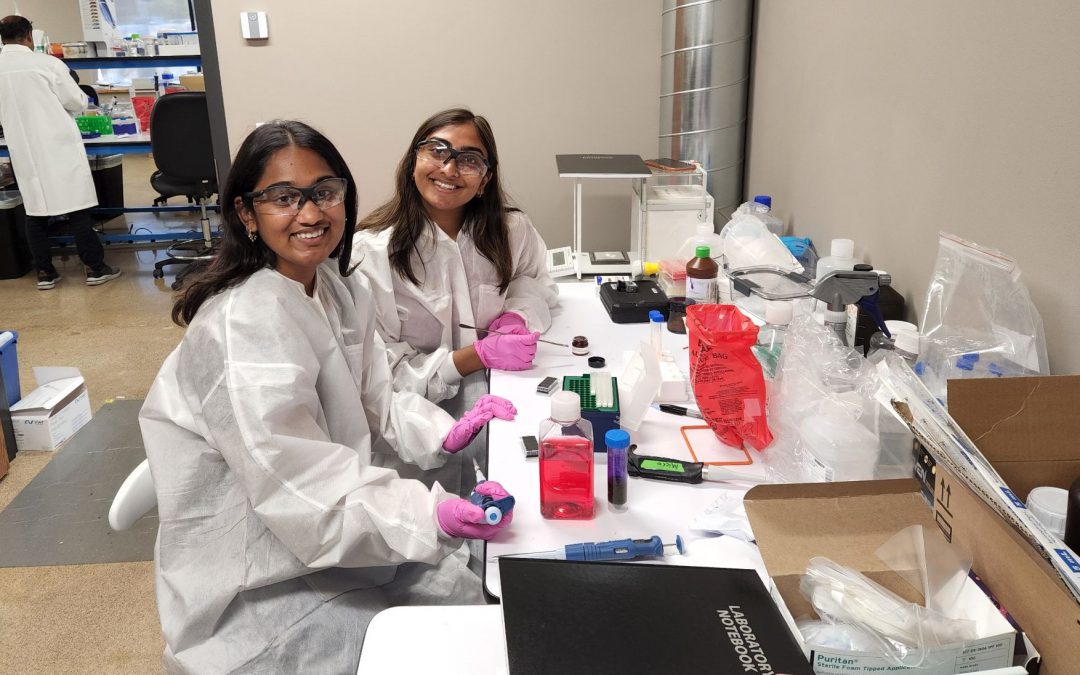 STEM, STEM internship, paid internship, interns, internship, Minnesota, MN, medtech, biomedical, startup, oral health, lab work