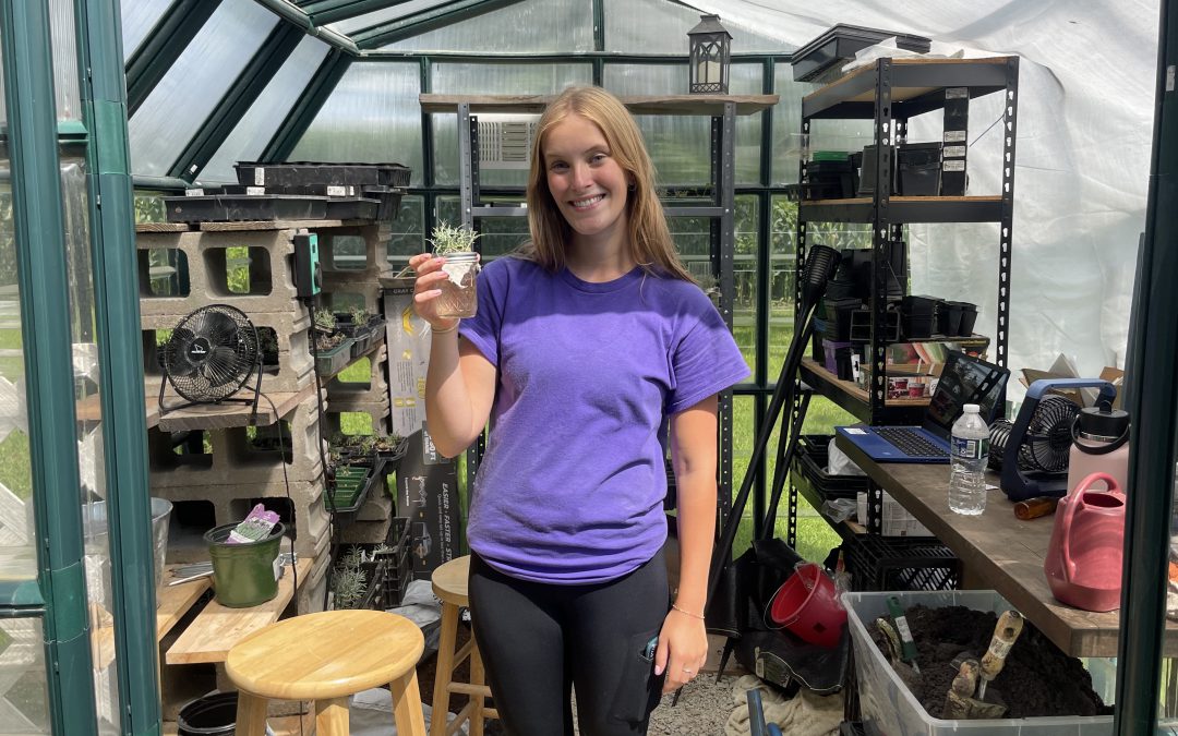 Ingenuity STEMs in the Green House: An Internship at the Lavender Barnyard